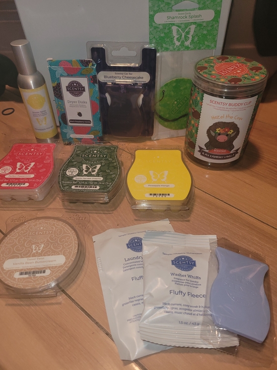 Scentsy Other - Scentsy Lot